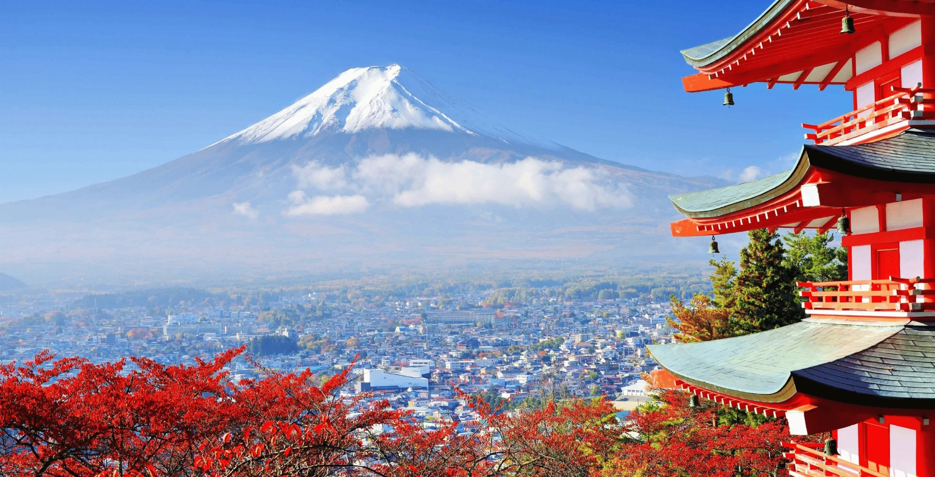 Understanding the Japanese Chemical Regulations